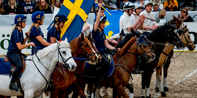 Upplev familjedagen på Gothenburg Horse Show: ”En rolig och fartfylld dag för både barn och vuxna”