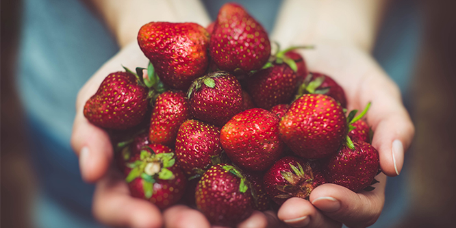 De godaste svenska jordgubbarna är märkta med Svenskt Sigill