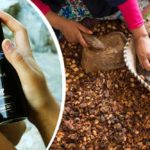 Zagora Simply Organic: Skönhet som  stöttar marockanskt kvinnokooperativ
