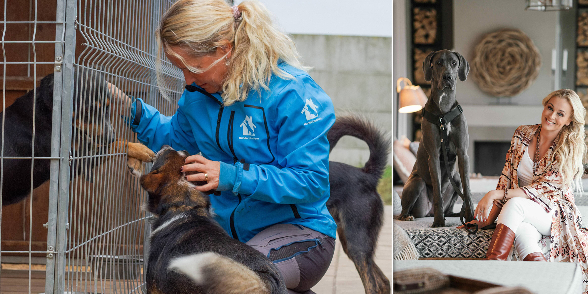 Hundar Utan Hem får 90-konto  – ”Nu kan vi hjälpa fler hundar”